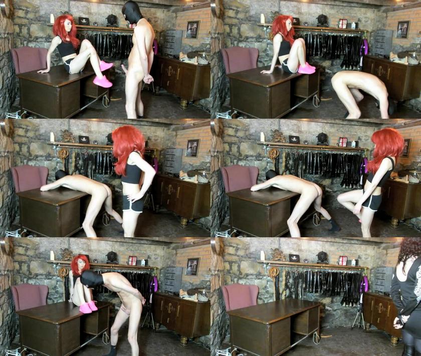 Clips4sale: Goddess Bellaa Rosso - Kicks For Licks; #Ballbusting Goddess Bellaa Rosso 2021 HD