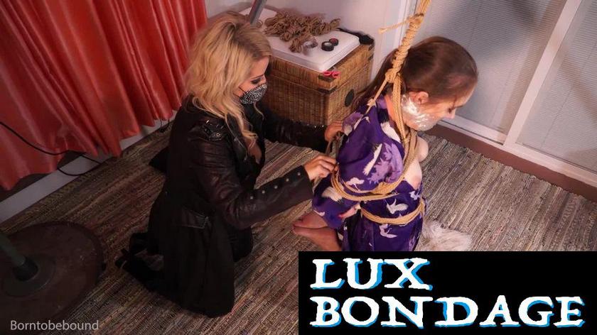 2022 HD Born To Be Bound