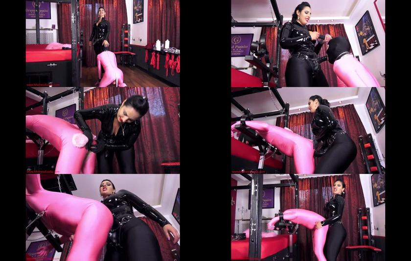 Mistress Ezada Sinn: Pegging The Pink Poodle 2022 HD Mistress Ezada Sinn