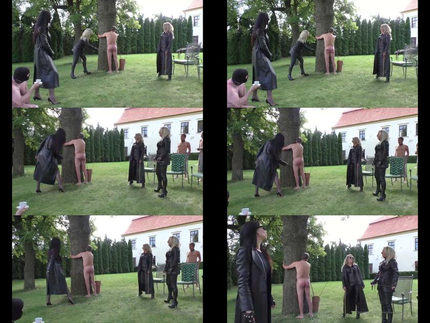 Mistress Athena: Another Part From The Female Bosses Garden Party 2022 HD Mistress Athena