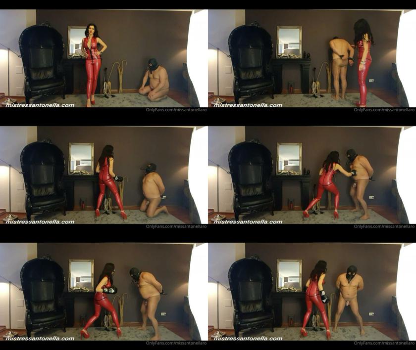 Mistress Antonella: Chastity Belt And Boxing Match 2022 HD Mistress Antonella